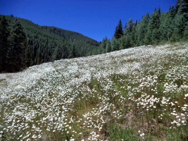 Cascade Village 301, Durango Co 외부 사진